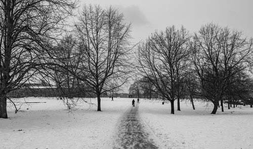 metsaperture Oslo winter