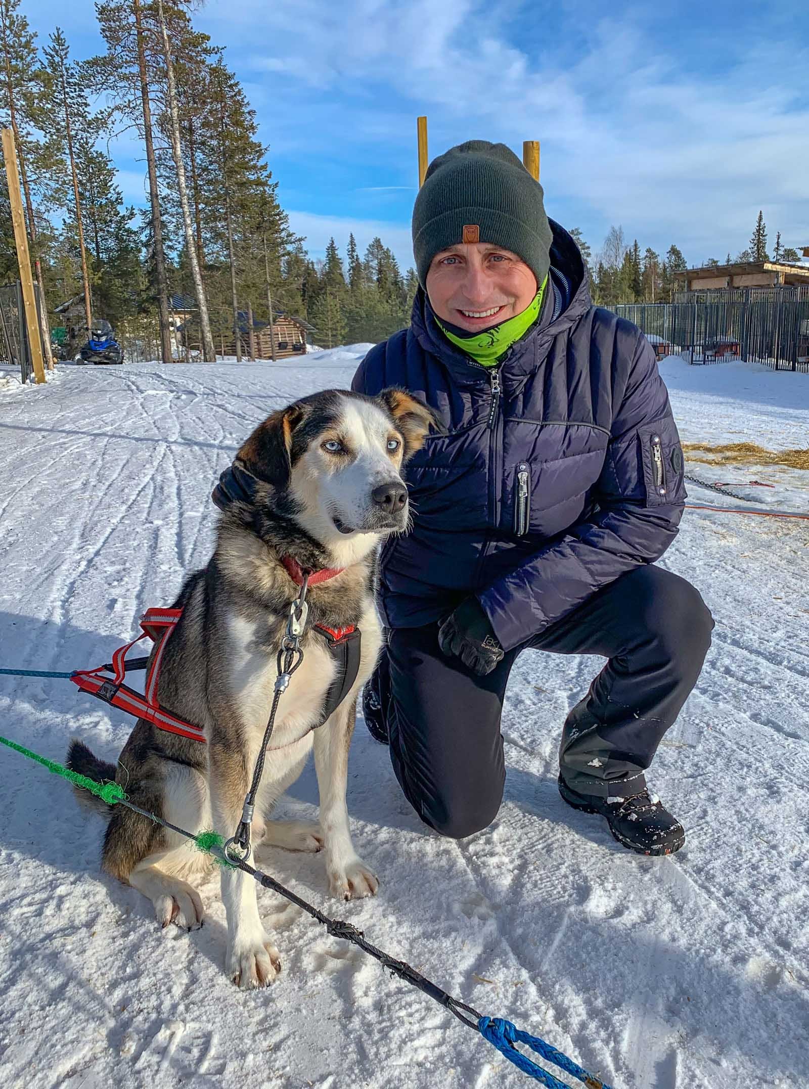 lapland dog crusty and me