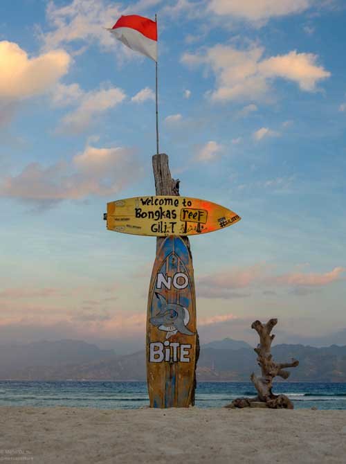 metsaperture gili trawangan adası endonezya