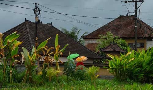 metsaperture ubud bali endonezya