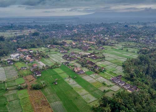 metsaperture bali ubud indonesia