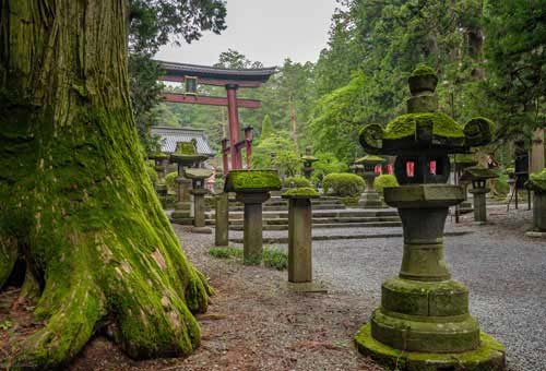 metsaperture fuji sengen tapınağı