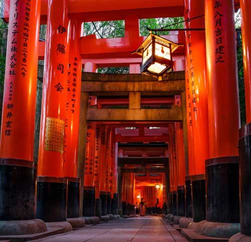 metsaperture fushimi inari tapınağı kırmızı kapılar torii