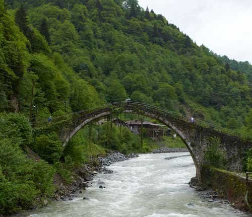 metsaperture Metin Özgür Rize Turkey