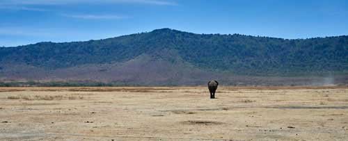 metsaperture Metin Özgür Serengeti Tanzania