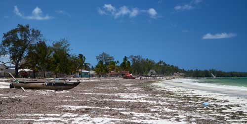 metsaperture Metin Özgür Zanzibar Island