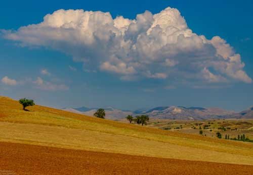 metsaperture Metin Özgür Afyon Turkey