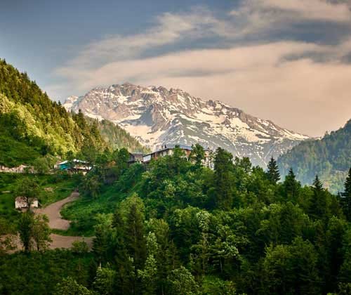 metsaperture Metin Özgür Maçahel Artvin Turkey