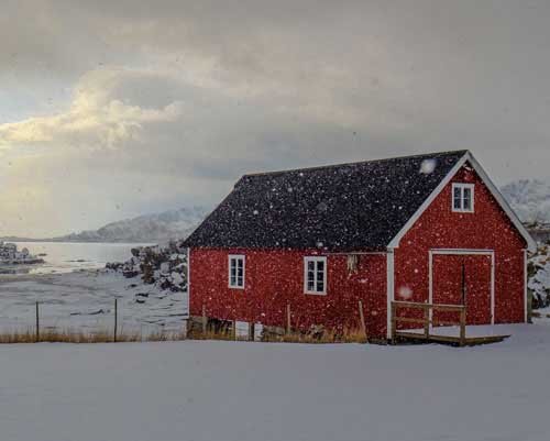 metsaperture Metin Özgür Leknes Lofoten