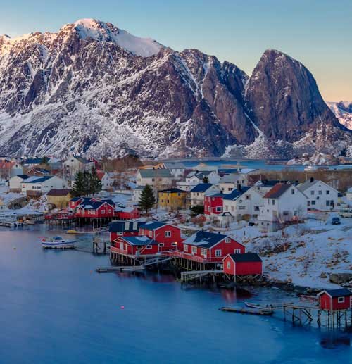 metsaperture Metin Özgür Reine Lofoten