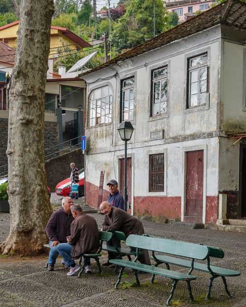 metsaperture madeira monte