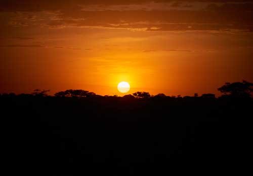 metsaperture Serengeti Afrika günbatımı