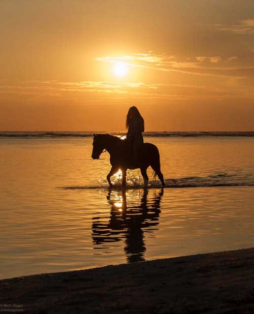 metsaperture Gili riding in sunset