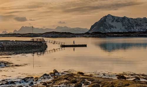 metsaperture Lofoten sunset