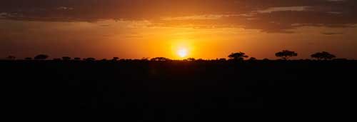 metsaperture Serengeti sunset