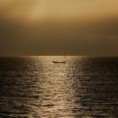 metsaperture Zanzibar adası gündoğumu