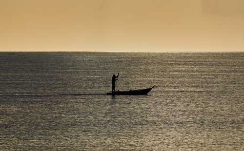 metsaperture Zanzibar adası gündoğumu