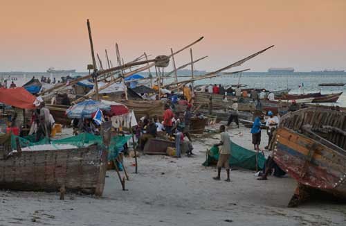 metsaperture tanzania daressalaam balık pazarı