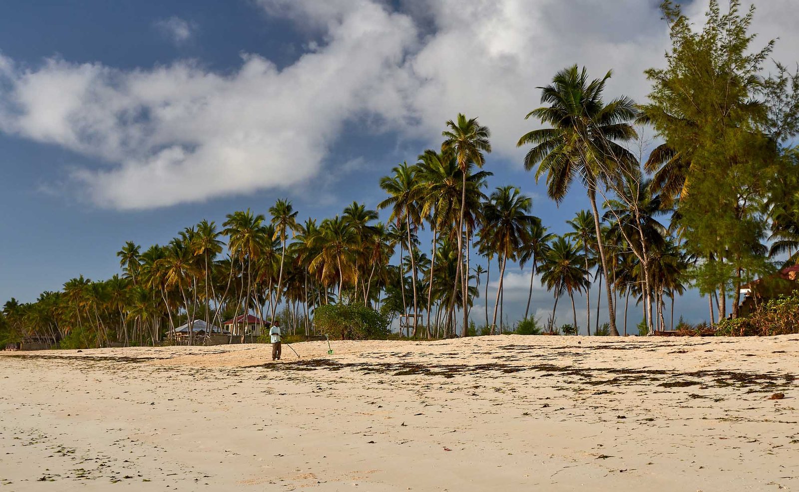 zanzibar uroa beach