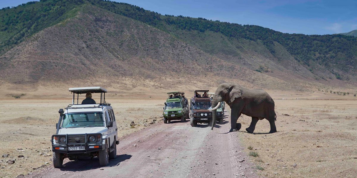 Metin Özgür Serengeti Ngorongoro Tanzania Photographs